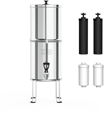 AllSpares Système de filtration d'eau par gravité RVS (8,5 l)