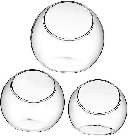 ibasenice 3stücke Glaskugel-terrarien Für Sukkulenten Und Luftpflanzen Klare Glasvasen Mit Abgeschrägtem Öffnung Für Kreative Miniaturgärten Modernes Tischdeko-Accessoire