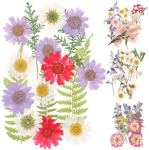 SEWACC 4taschen Getrocknete Deko-Blumen Zum Basteln Gepresste DIY Trockenblumen Für Schmuck Kerzen Seifen Handyzubehör Langlebige Farbechte Blüten Für Kreative Geschenkideen Und Heimdeko