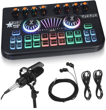 DOITOOL Pack Console de Mixage Audio Professionnelle Mixeur de Microphones pour Enregistrement Karaoké