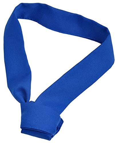 Generic Chefs Hotel Restaurant Kitchen Neckwear Neck Tie Scarf Neckerchief, Blue