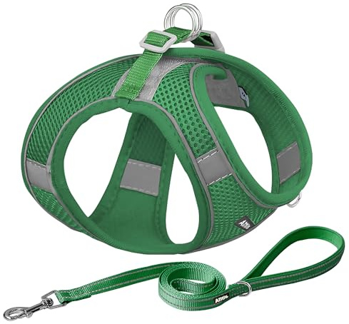 AIITLE Set med hundsele och hundkoppel bekväma - Sele med väst, reflekterande band, justerbara väsentliga delar för valpar, för små hundar Grön XS