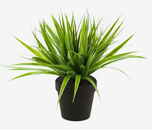 artplants.de Kunstgras Schilfgras ARIANO, grün, 30cm - Deko Gras - Kunst Schilf