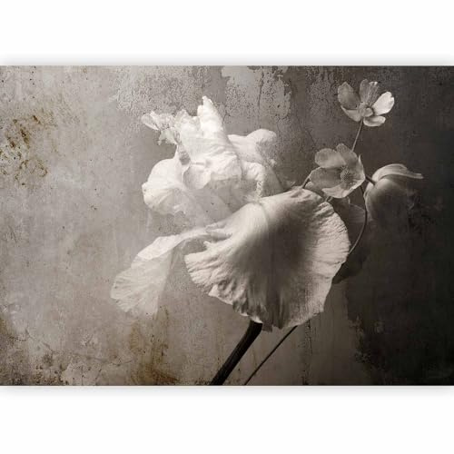 murando - Carta da Parati Adesiva Moderna per Soggiorno, Vintage 343x256 cm | Fotomurale Autoadesiva, Pellicola Murales, Decorazione da Muro XXL, Poster Giganti da Parete, Fiori, Produzione Europea