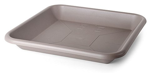 Floralo e. K. Saucer for plant pots square, taupe outer dimensions at the top 34 cm x 34 cm, inner dimensions of the base 24.7 cm x 24.7 cm
