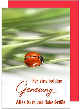 Edition Seidel Premium Karte zur Genesung gute Besserung Genesungskarte mit Umschlag. Glückwunschkarte Grusskarte einzelne eine Karte (GX134 SW022)