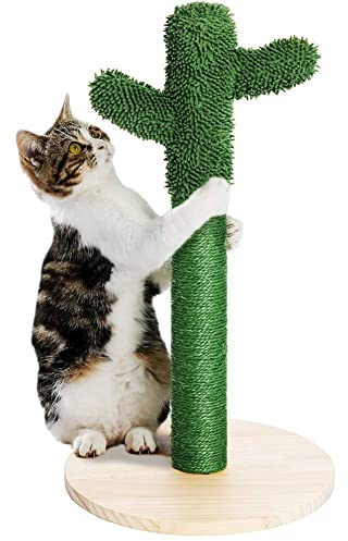 BAKAJI Griffoir Cactus Arbre Forme Plante pour Chats Animaux félins Couleur Verte avec Fleur Interactive pour Ongles, Anti-Rayures, Jouet Stable, Robuste, Corde en Chanvre