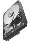 Seagate Constellation ES.2 - Disco rigido da 3 TB (7200 rpm) 6 Gb/s SAS 64 MB (interno), con crittografia automatica, modello 256