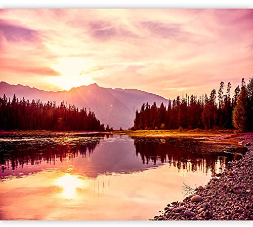 murando Fotomurales Paisaje 350x256 cm XXL Papel pintado tejido no tejido Decoración de Pared decorativos Murales moderna Diseno Fotográfico montanas Pradera Bosque Naturaleza c-B-0631-a-a