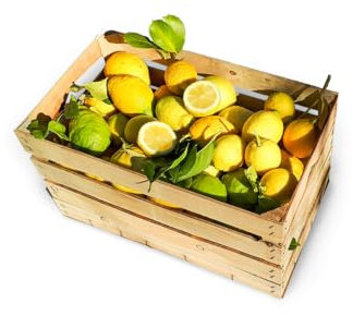 Estock1food Limoni freschi non Trattati 100% Biologici 5KG CALIBRO MISTO Prodotti in Sicilia buccia edibile prodotto top