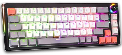 Spirit Of Gamer XPERT K600 : Clavier Gaming sans Fil RG TKL 65% / 68 Touches Semi-mécaniques/Rétro-éclairage RVB 4 Modes/Connexion : RF 2.4GHz sans Fil et Bluetooth ou USB Filaire