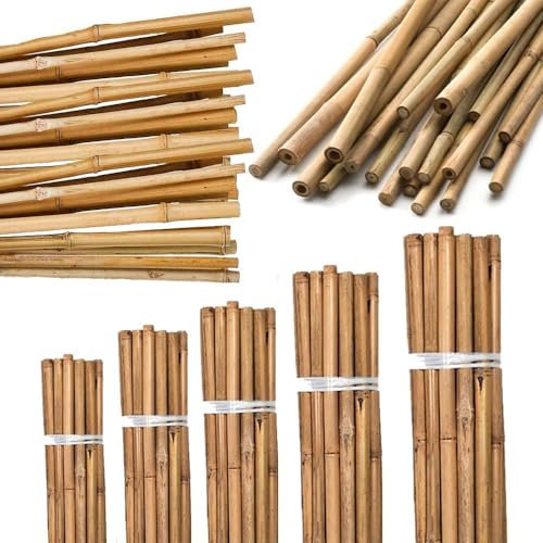 AHS Strong Heavy Duty Bamboo Canes - Natural 6FT Gardening Cane - Professional Thick Garden Canes - Indoor Outdoor Plants Support Stakes - Large Wooden Stake Trellis Pole (20, 6FT (180cm))