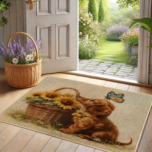 Fußmatte mit niedlichem Dackel-Motiv, für Innen- und Außenbereich, für Frühling und Sommer, rutschfeste wasserdichte Bodenmatte, leicht zu reinigen, 73 x 43 cm