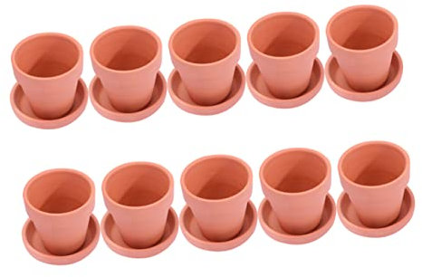 INOOMP 10 Ensembles Pots Succulents Cactus Pot semis Pot pourri Pot de Fleur bac à semis Pots en Terre Cuite Pots de jardinières en Argile Mini-Plantes Pots de Plantes Pot en Terre Cuite