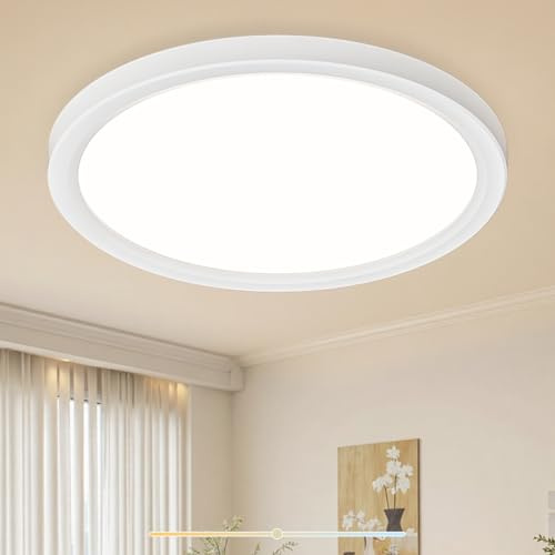Birnetek® Lampara Techo 24W, Plafon Led Techo 2200LM, 3000K, 4000K, 6500K, IP44 Impermeable, Moderno Y Sencillo, Delgada Lámpara de Techo para Sala de Estar, Baño, Dormitorio, Cocina 290 * 21mm