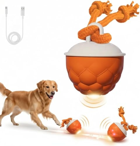 Aohcae Interaktives Hundespielzeug Ball, Elektrisch Automatisch Rollender Hundeball mit LED-Lichtern & Simulierten Vogelstimmen, USB-Wiederaufladbar für Kleine, Mittlere & Große Hunde