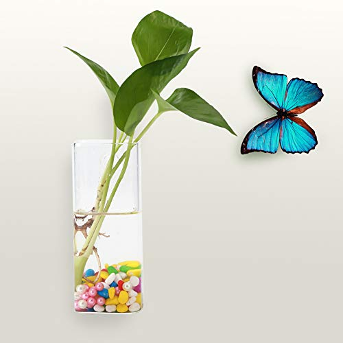 Zerodis Glas Wandvase, Transparente Hängende Blumenvase, 6 Verschiedene Größen, Dekorative Pflanzgefäße für Haus, Garten, Hochzeit