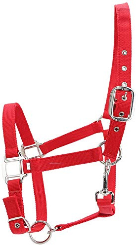 BowyTrading Brida de Caballo Engrosada de 6 mm, Cabestro de Control de Caballos con PP Rojo de Doble Capa l para Montar y Descansar, Cabestro de Cemento