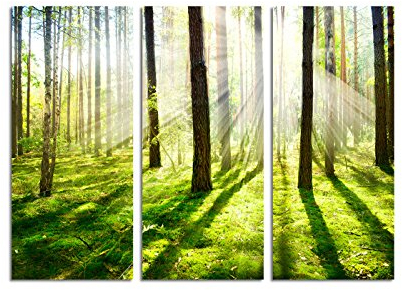 Paul Sinus Art 130x90cm – Keilrahmenbild Sonnenaufgang Wald Bäume Sonnenstrahlen 3teiliges Wandbild auf Leinwand und Keilrahmen - Fotobild Kunstdruck Artprint