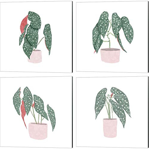 Polka Dot Begonia by Bannarot, Canvas Art Set of 4, 14 X 14 Inches Each, Floral Art