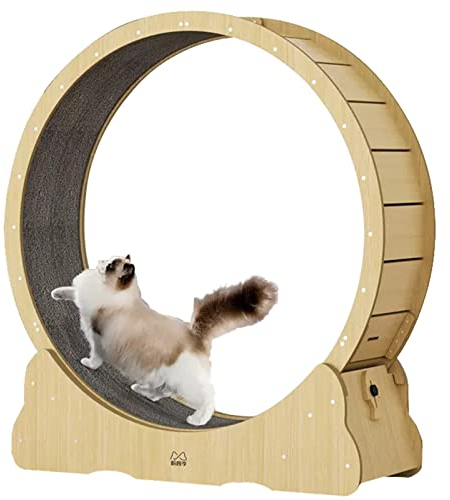 Katzen-Laufrad, extra großes Katzen-Übungsrad, robust, abschließbar, aus massivem Holz, leise Drehung, Katzen-Laufrad/Gerät zur Gewichtsreduktion, längere Lebensdauer (Größe: L-100 cm (39,4