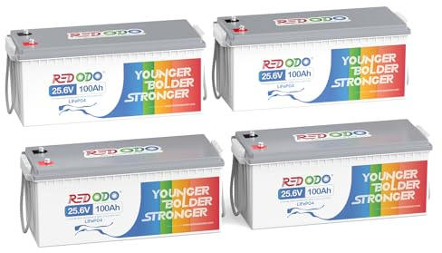 Redodo [4 Pack] 24V 100Ah LiFePO4 Lithium Batterie, Max. 2560W Ladeleistung, Eingebautes 100A BMS, 4000+ Zyklen Akku, Perfekt für Wohnmobil, Off-Grid System