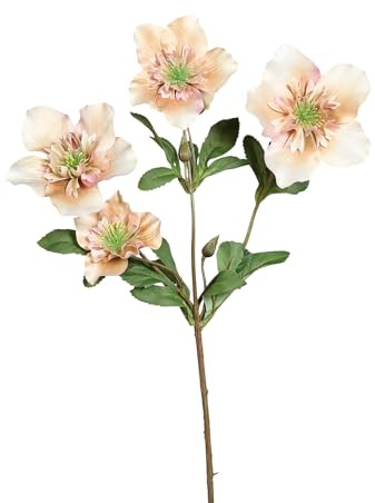 Seidenblumen Roß Christrosenzweig 68cm DP Kunstblumen künstliche Christrose Helleborus Schneerose Blumen Pflanzen (Creme)