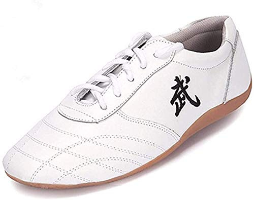 ZKHD Tai Chi Kung Fu Scarpe Taekwondo Scarpe Arte Marziale Cinese Tradizionale Wushu Shaolin Trainer Sneakers Traspiranti per Uomo Donna Bambini Bambini,White-43EU