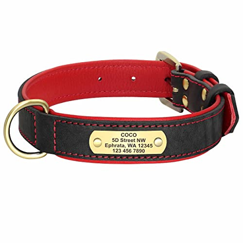 mypfote.com Exklusives Leder Hundehalsband mit großer Gravurplatte und gratis Gravur von Name und Telefon, für mittlere und große Hunde Schwarz/M 34-45cm