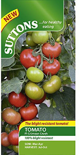 Suttons - Tomato Seeds - F1 Crimson Crush
