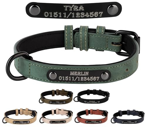 Jacks O Be Hundehalsband Halsband Name Gravur personalisiert Haustier Hund Katze Leder (Grün, XXL)