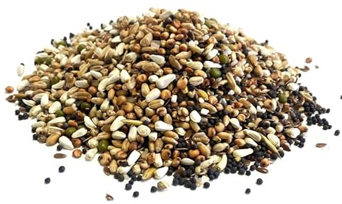15kg Pigeon Condition Seed Mixed Bird Food
