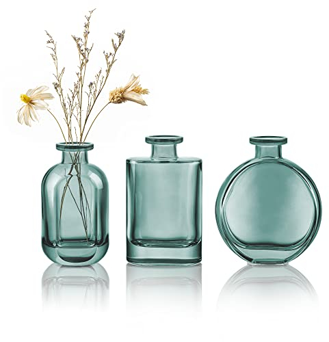 Joeyan Blau-Grün Kleine Glasvasen 3er Set - Bunt Blumenvase Desktop - Vase für Einzelne Rose,Knospenvase Dekorative für Zuhause, Büro, Tischdekoration