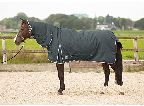 Outdoordecke Thor 200gr mit Halsteil Harry's Horse