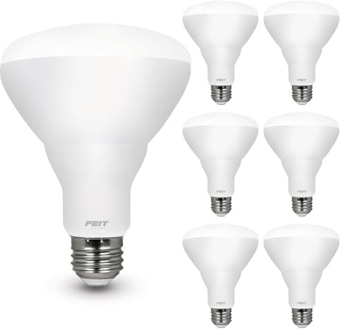 Feit Electric BR30 LED Light Bulbs, 100W Equivalent, Dimmable, E26 Standard Base, 80 CRI, 1400 Lumens, 5000K Daylight, 120V, 10 Years Lifetime, Damp Rated, 6 Pack, 100BR30DM85010KLED/6