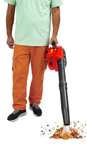 Souffleur manuel à gaz à essence - Moteur 2 temps 25,4 cc - 7000 tr/min - Aspirateur à feuilles - Batterie amovible - Pour jardin et déneigement