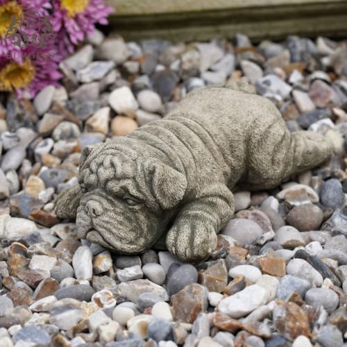 Statua in pietra Shar Pei sdraiata | Bulldog cucciolo cucciolo animale ornamento da giardino all'aperto