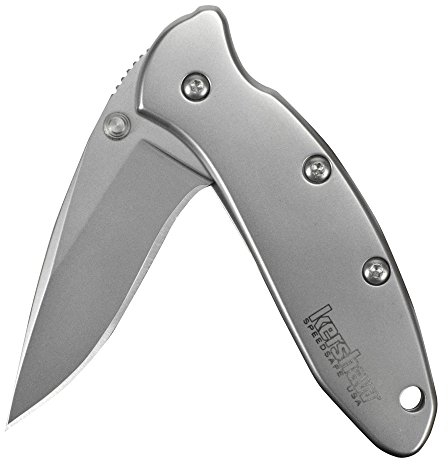 Kershaw Chive Pocket Knife, Silver, 1.9 Inch Stainless Steel Drop Point Blade, EDC with Assisted Opening, Deep Carry Pocketclip, Made in the USA, Everyday Carry Pocket Knife for Men and Women