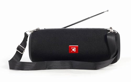 Bärbar Bluetooth-högtalare, radio, antenn, micro-SD-plats, 3,5 mm audio i handsfree-samtal – svart
