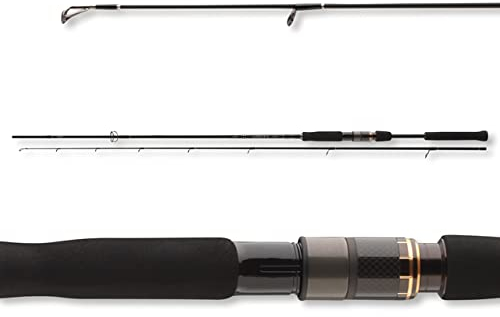 Daiwa Airity Jigger - Caña de pescar (2,40 m, 7-28 g)
