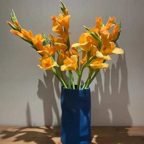 4 pcs gladiolen zwiebeln winterhart mehrjährig - balkonpflanzen büropflanzen frühlingsblumen zwiebeln, blumen geschenk bodendecker winterhart blumenzwiebeln mehrjährig winterhart,