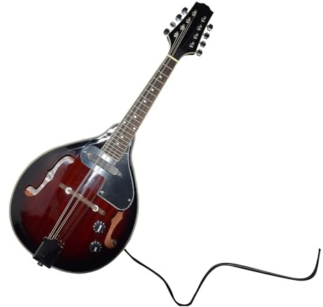 mandolin instrument Professional 8 string guitar and electric mandolin set