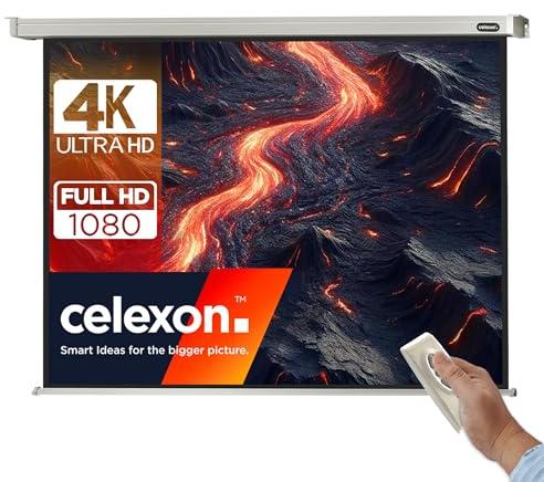 celexon Professional Motor-Leinwand 105 | 220x165 cm 4:3 | elektrische 4K ,Full-HD Beamer-Leinwand für Projektionen im Büro & Heimkino | zur Decken-/ Wand-Montage | mit Fernbedienung
