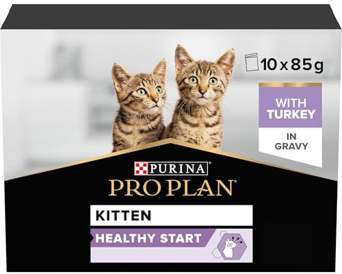 Pro Plan Kitten Healthy Start | Umido per gattini in salsa | 4 x 10 x 85 g