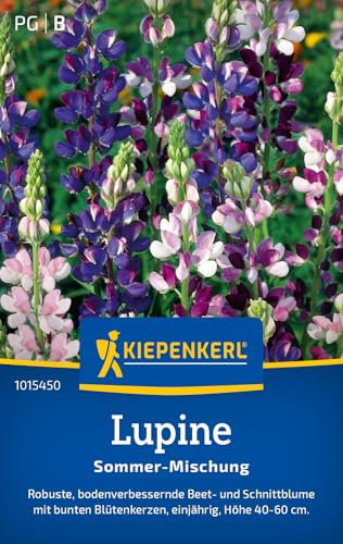 Kiepenkerl Lupinensamen Sommer Mischung 1015450 –Blumensamenmischung für eine robuste Beet- und Schnittblume mit Inhalt für 40 Pflanzen - Blumenwiese, Saatgut