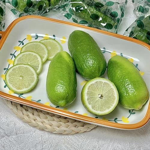 Semillas resistentes de limonero, jardín rocas resistentes limonero frescas, para balcón, 150pcs