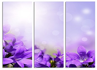 Paul Sinus Art 130x90cm – Keilrahmenbild lila Blumenwiese Nahaufnahme Glockenblume 3teiliges Wandbild auf Leinwand und Keilrahmen - Fotobild Kunstdruck Artprint