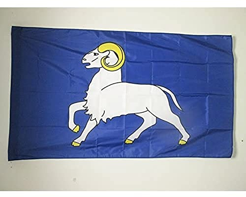AZ FLAG Drapeau Cornouaille 150x90 cm Breton Polyester 100D Fourreau | Usage intérieur et extérieur Drapeau décoratif coutures doubles et bords renforcés avec fourreau pour mât