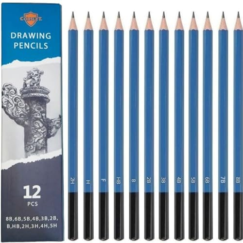 Corslet 12 Stück Kohlestifte zum Zeichnen, Graphit-Skizzierstifte-Set, 8B 7B 6B 5B 4B 3B 2B B HB F H 2H, Künstler-Bleistifte für Anfänger und Profi-Künstler, professionelles Skizzierstifte-Set