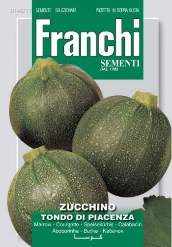 Speisekürbis Tondo Di Piacenza